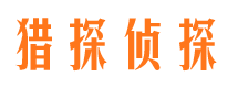 洛南市调查公司